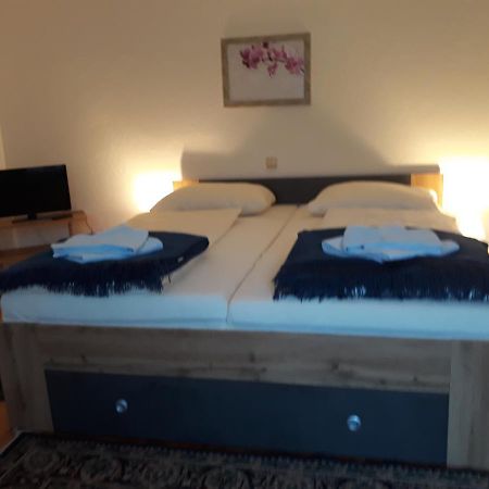 ホテルGasthaus Zur Blauen Donau Waldkirchen am Wesen エクステリア 写真